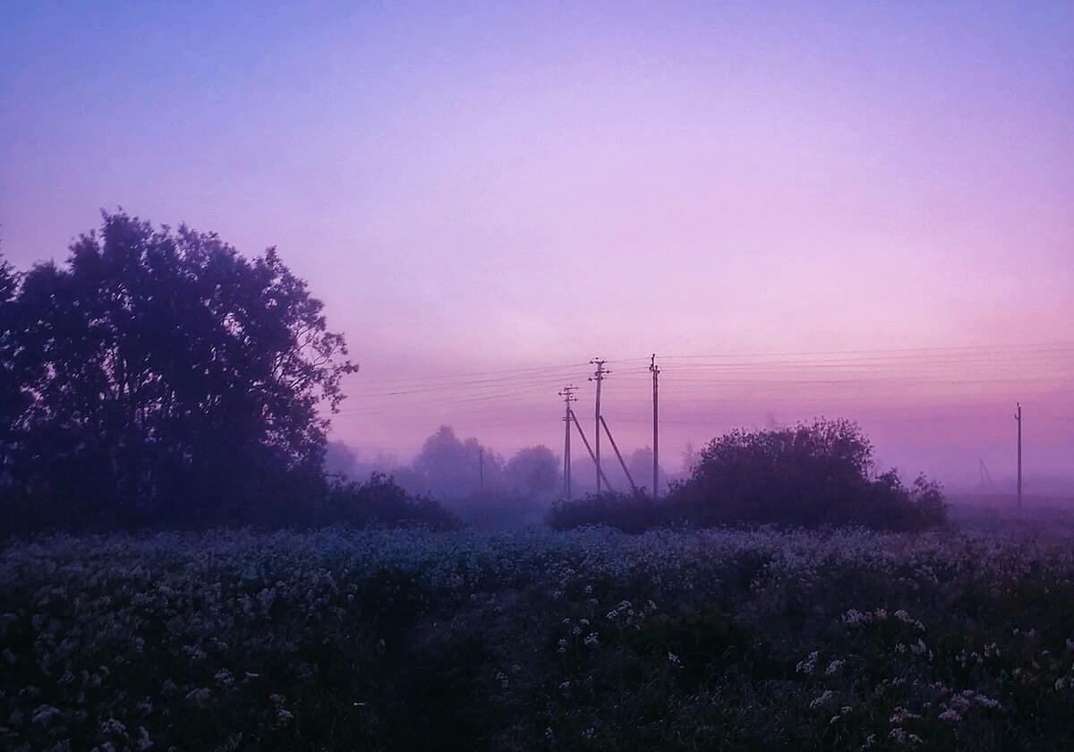 2026世界杯官网入口-有争议吗？C罗与队友投诉达马克禁区内手球，裁判没有给点球